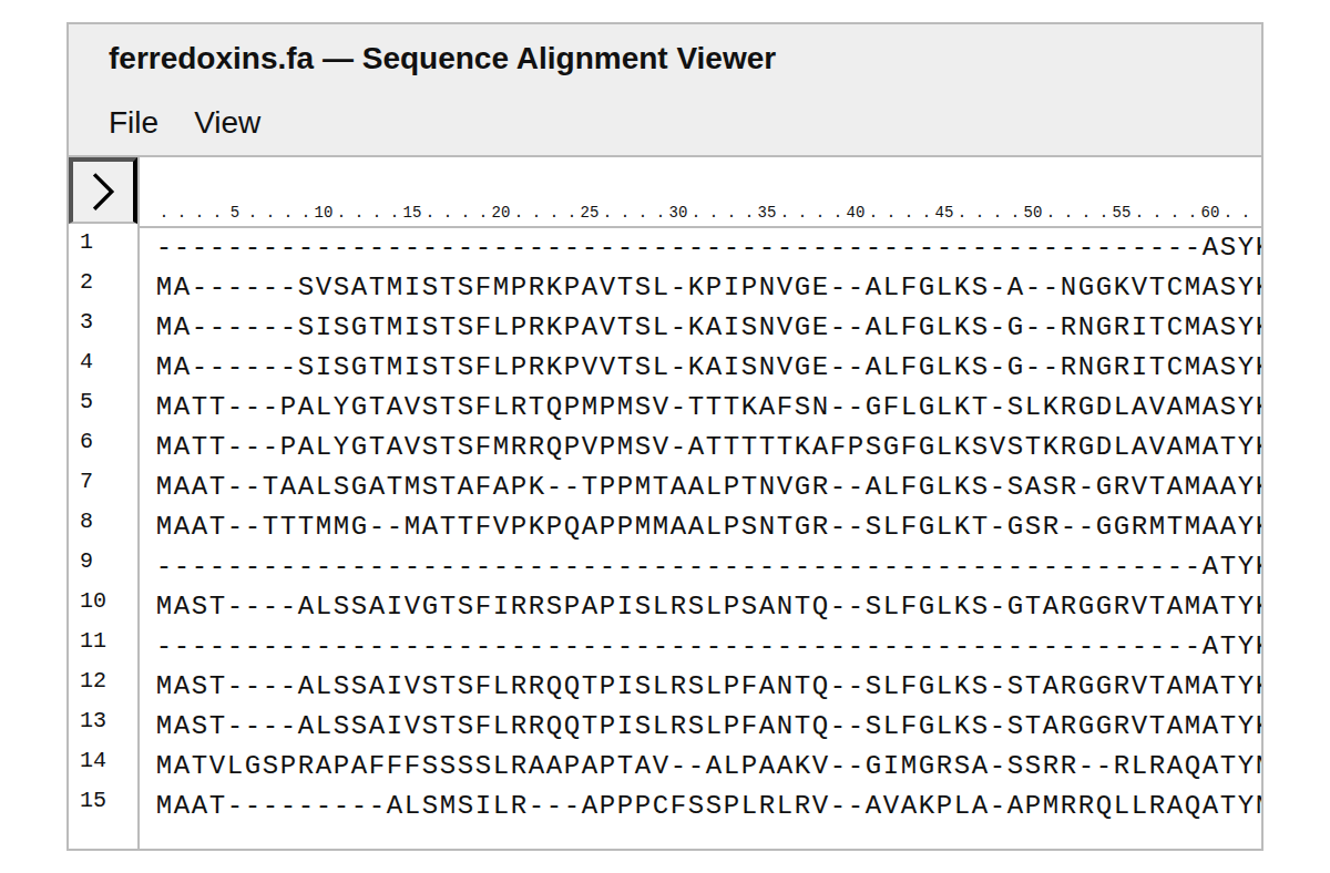 Sequence Alignment Viewer