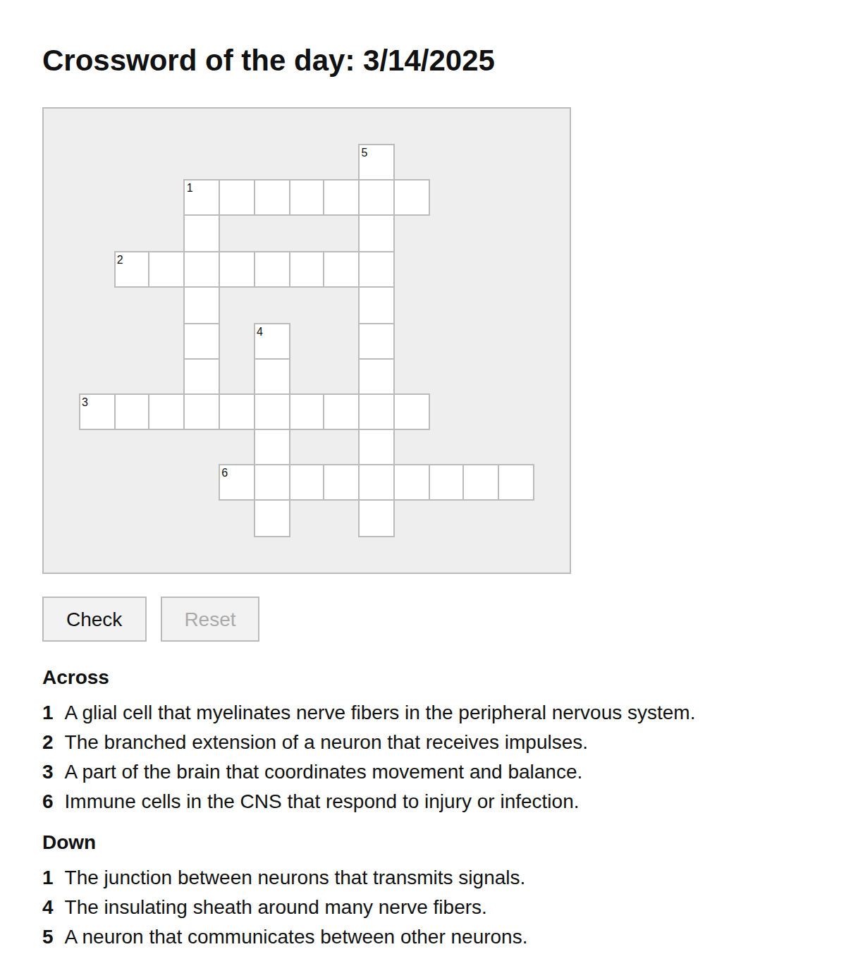 Neuroscience Crossword