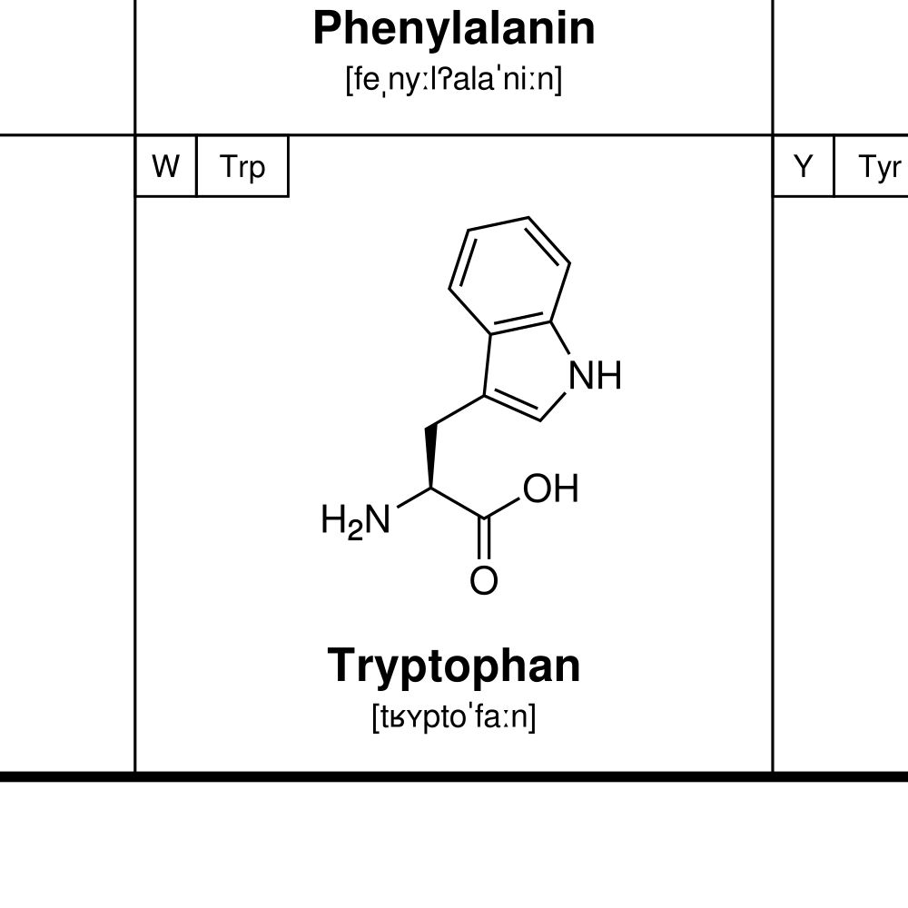 Leskoff Amino Acids Phonetic Wall Chart (Amino Acids Phonetic Poster), German-Labeled with IPA, image 2 of 2