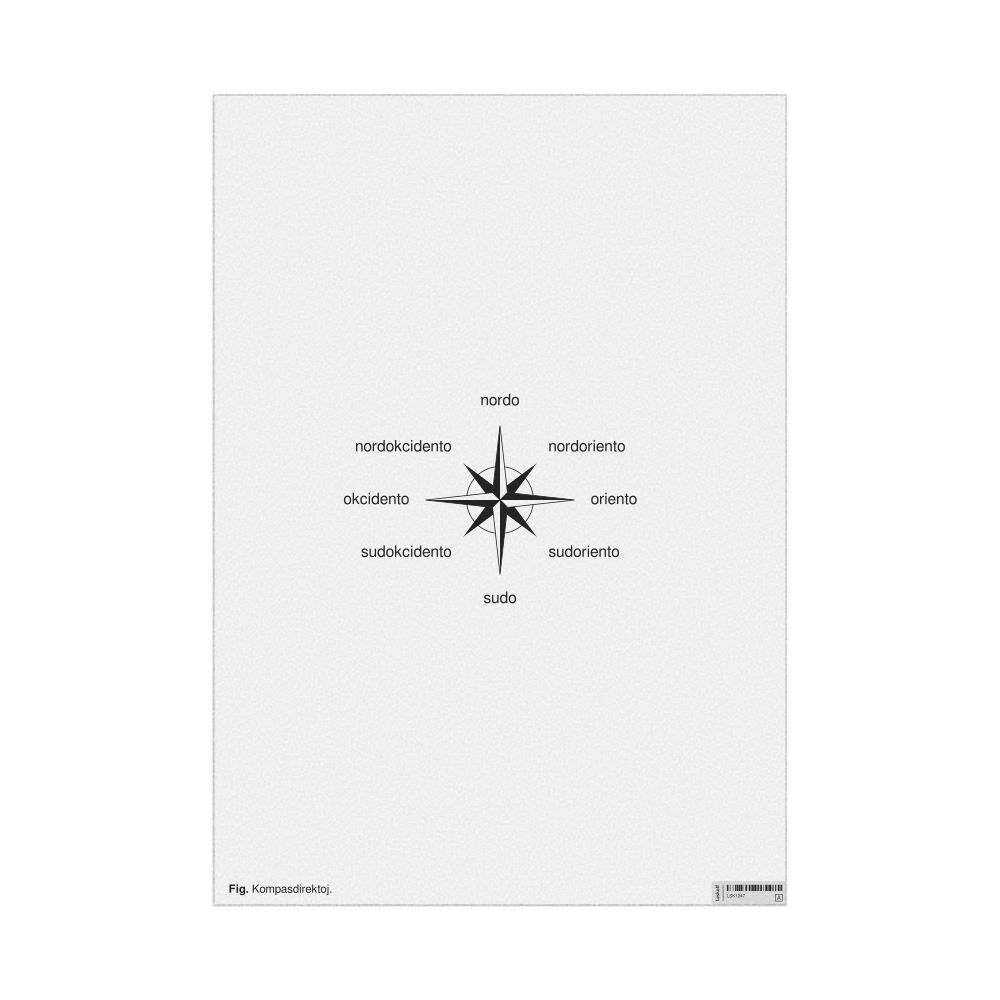 Leskoff Cardinal Directions Poster, Esperanto-Labeled, image 1 of 2
