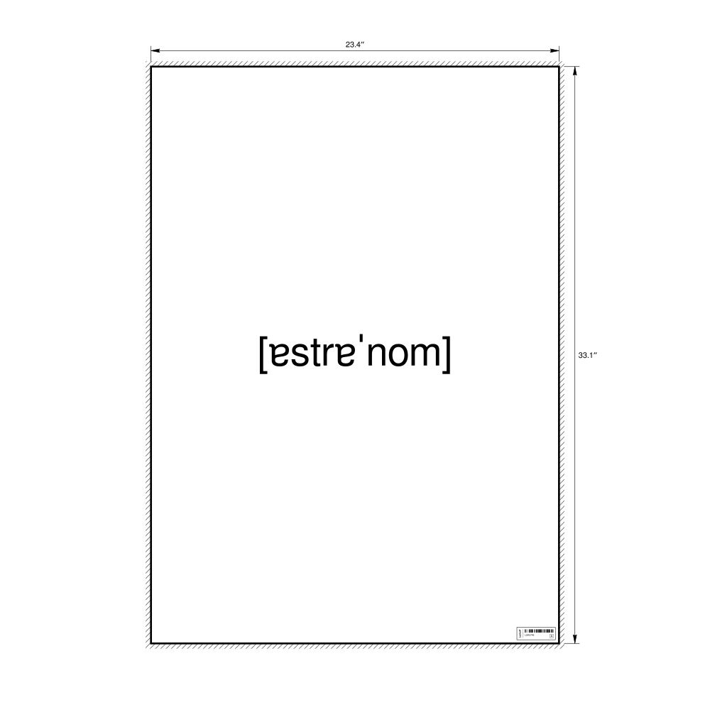 Leskoff астроном IPA Transcription Poster, image 1 of 1