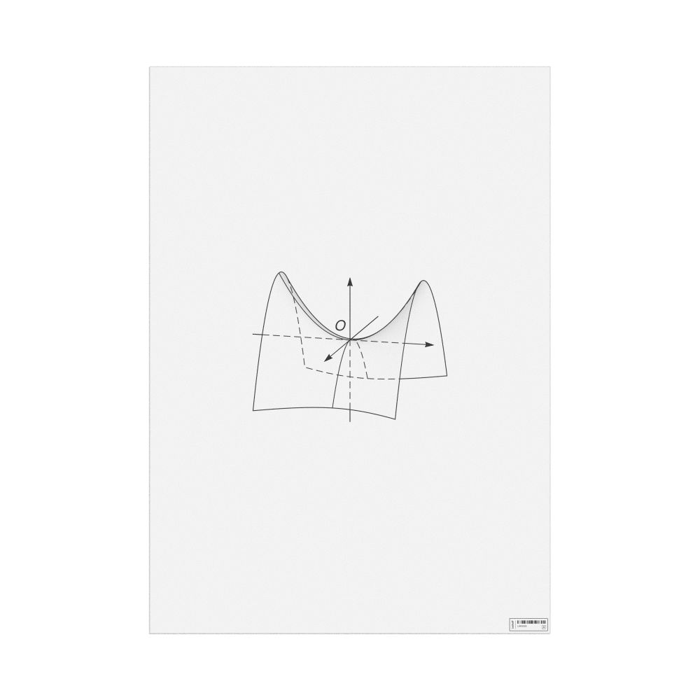 Leskoff Hyperbolic Paraboloid Poster, Shaded View, image 1 of 1