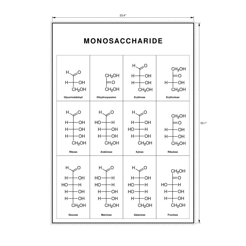 Leskoff Monosaccharides Wall Chart (Monosaccharides Poster), German-Labeled, image 1 of 1