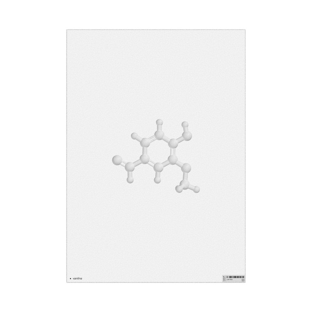 Leskoff Vanillin Molecule Poster, Ball-and-Stick Model, Portuguese-Labeled, image 1 of 1