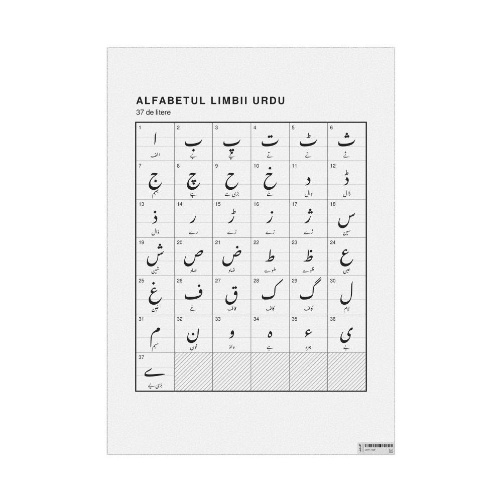 Leskoff Urdu Alphabet Chart, 23.4 x 33.1 in (59.4 x 84.1 cm, Poster / Wall Chart), Romanian-Labeled, image 1 of 2