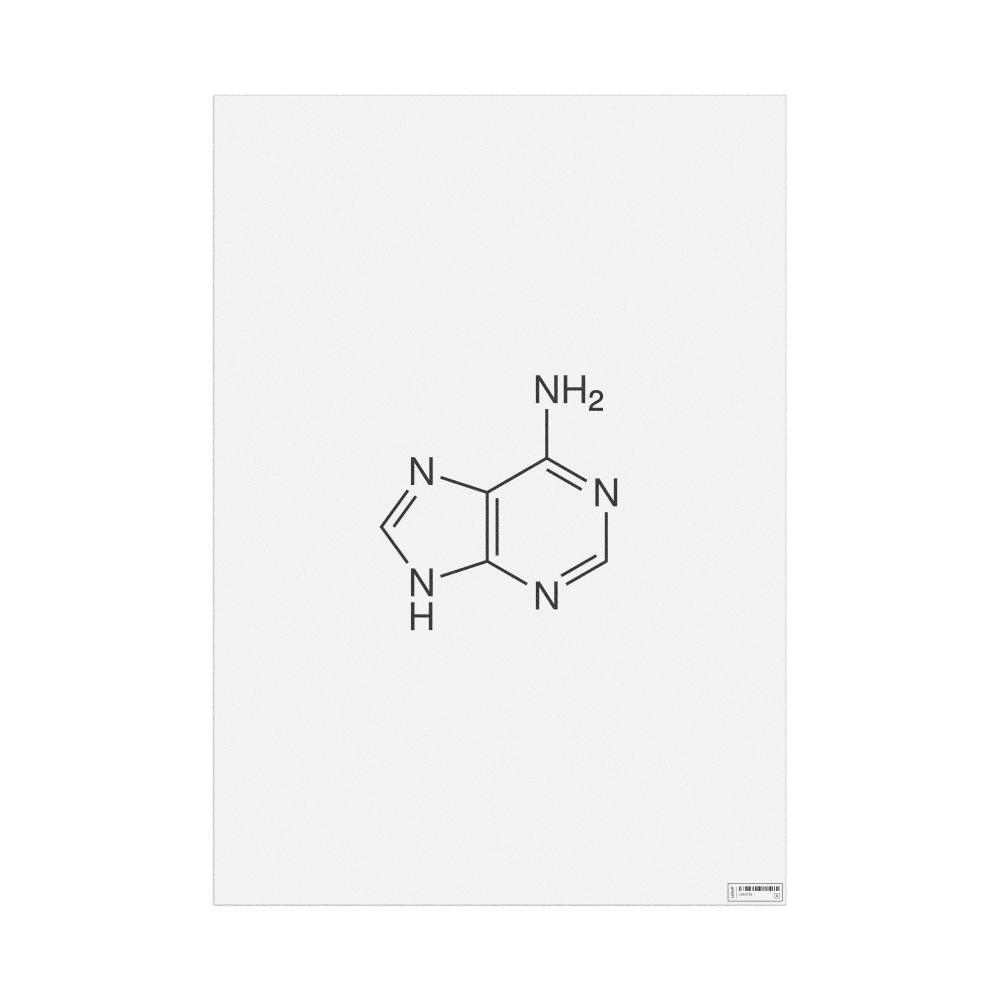 Leskoff Adenine Molecule Poster, 2D Structure, image 1 of 1