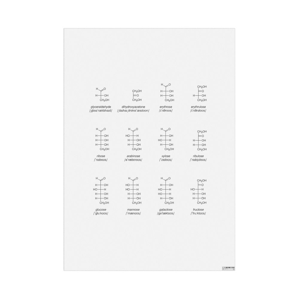 Leskoff Monosaccharides Phonetic Wall Chart (Monosaccharides Phonetic Poster), English-Labeled with IPA, image 1 of 1