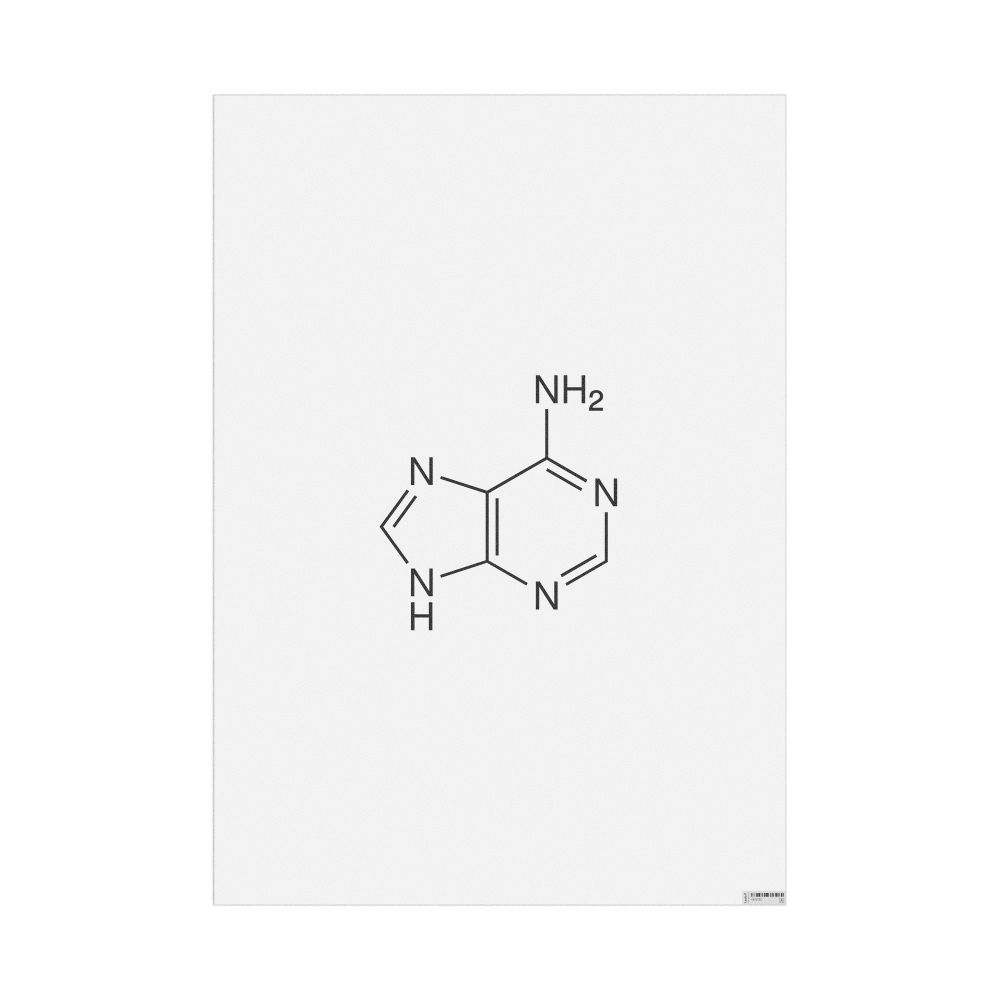 Leskoff Adenine Molecule Poster, 2D Structure, image 1 of 1