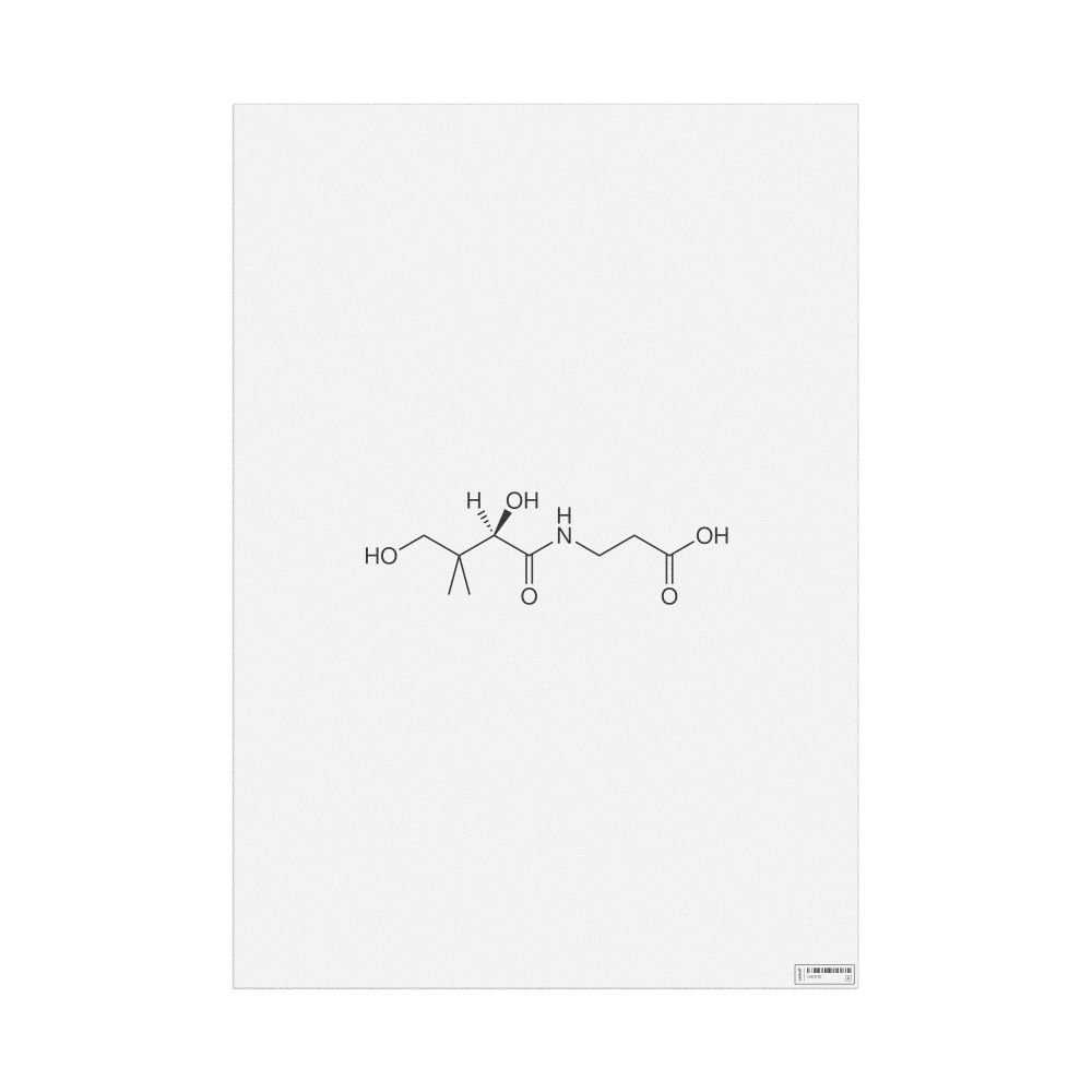 Leskoff Pantothenic Acid Molecule Poster, 2D Structure, image 1 of 1