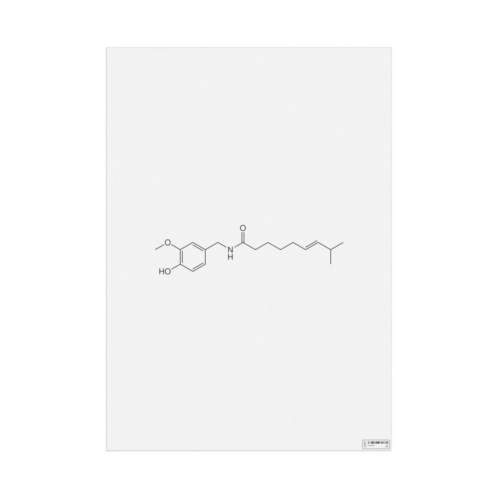 Leskoff Capsaicin Molecule Poster, 2D Structure, image 1 of 1