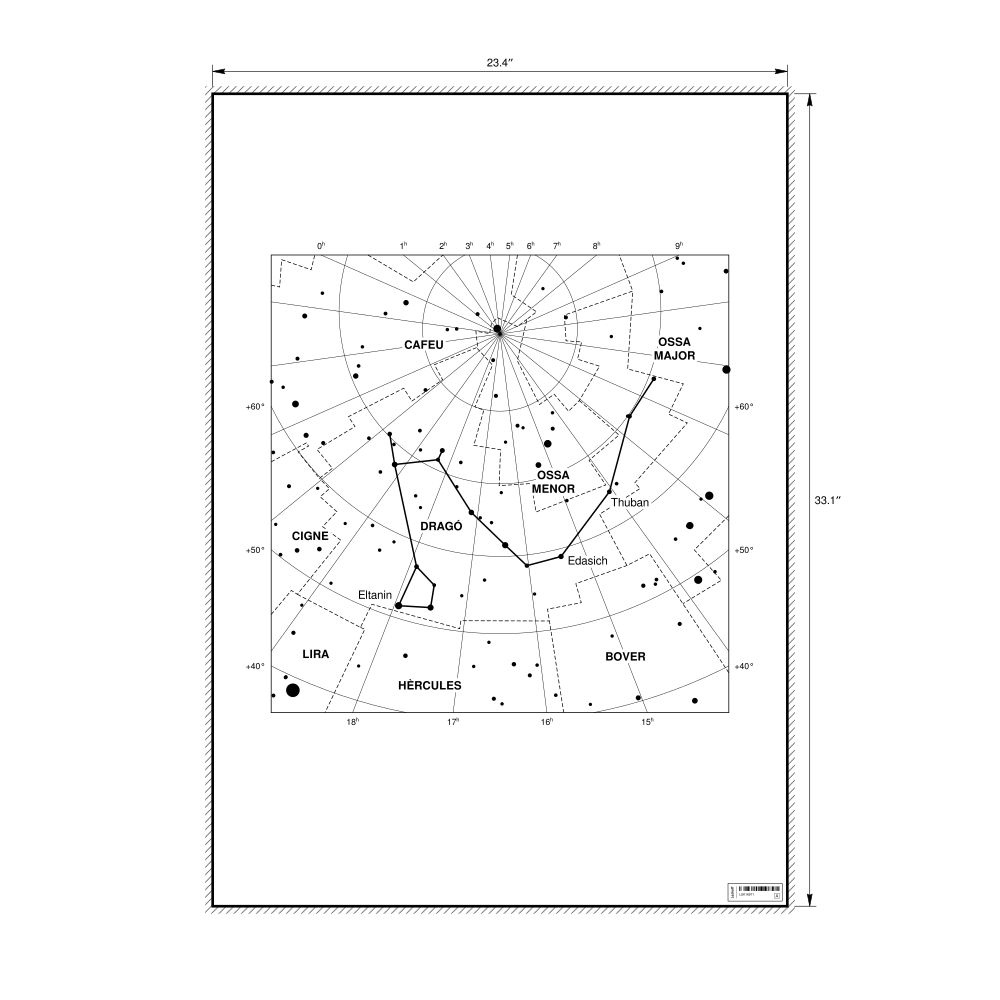 Leskoff Draco Constellation Poster, Catalan-Labeled, image 1 of 2