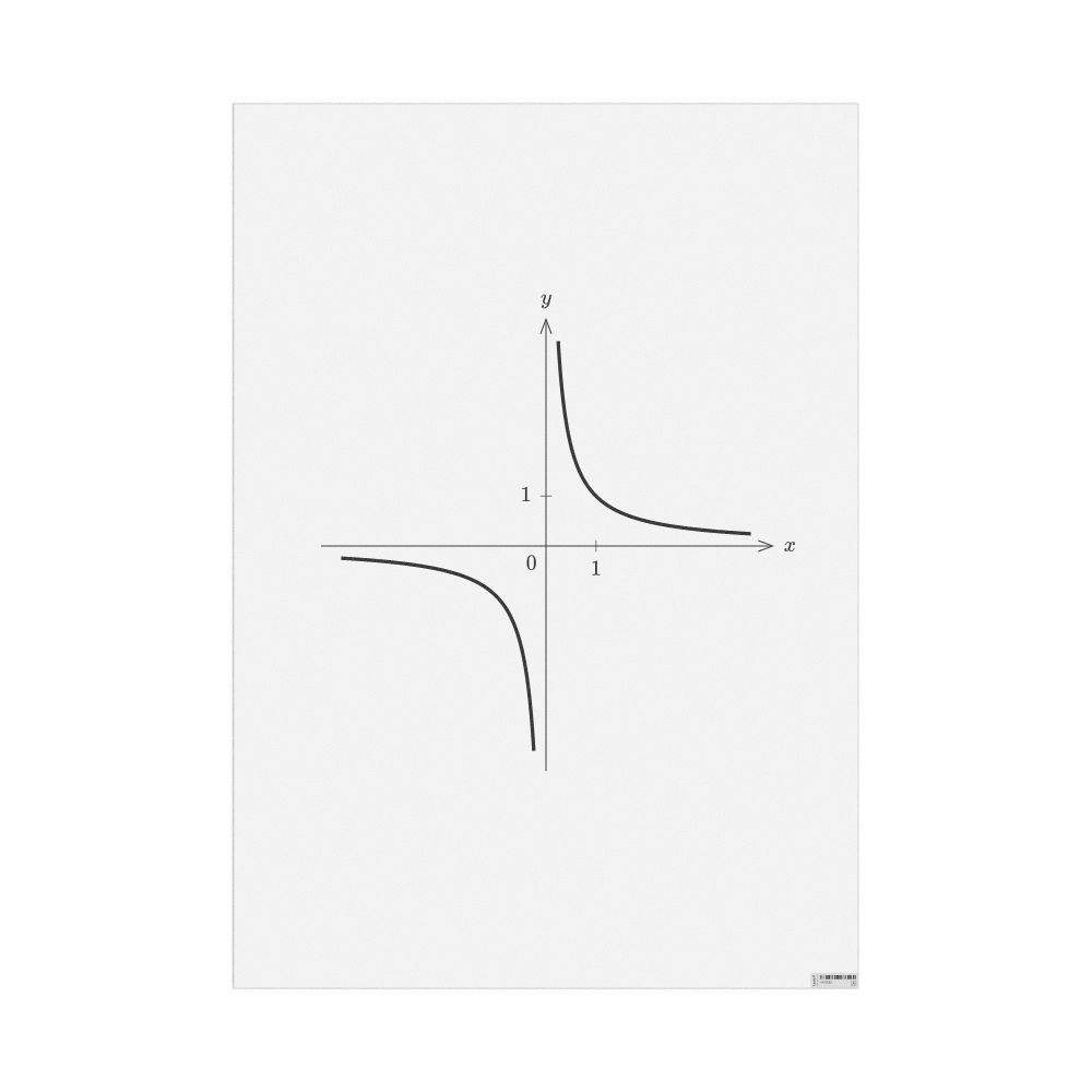 Leskoff Reciprocal Function Poster, image 1 of 1