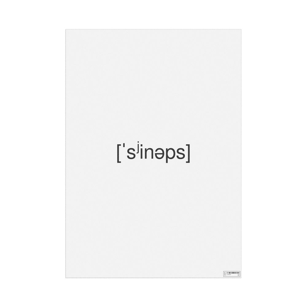 Leskoff синапс IPA Transcription Poster, image 1 of 1