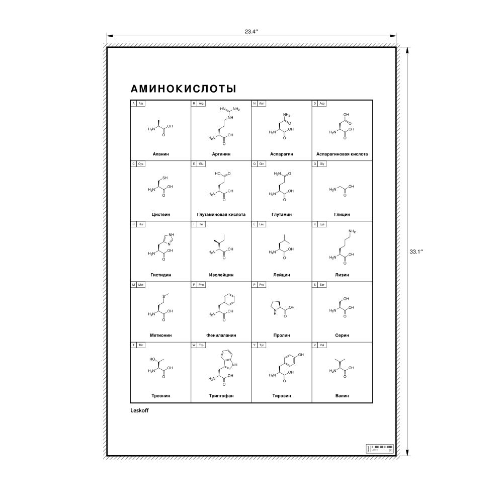 Leskoff Amino Acids Wall Chart (Amino Acids Poster), Russian-Labeled, image 1 of 2