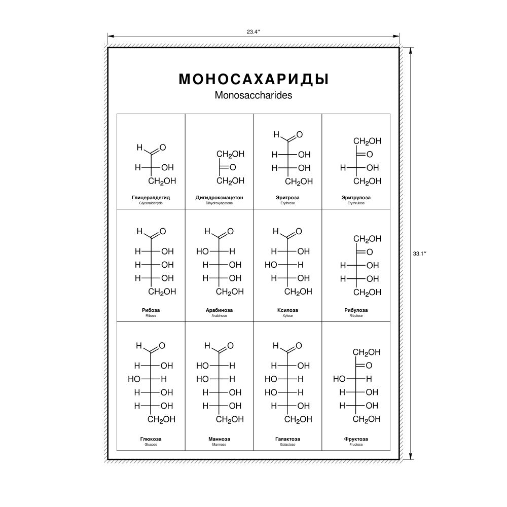 Leskoff Monosaccharides Wall Chart (Monosaccharides Poster), Russian/English-Labeled, image 1 of 1