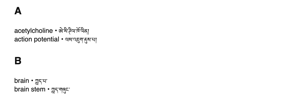 Neuroscience terms in Tibetan