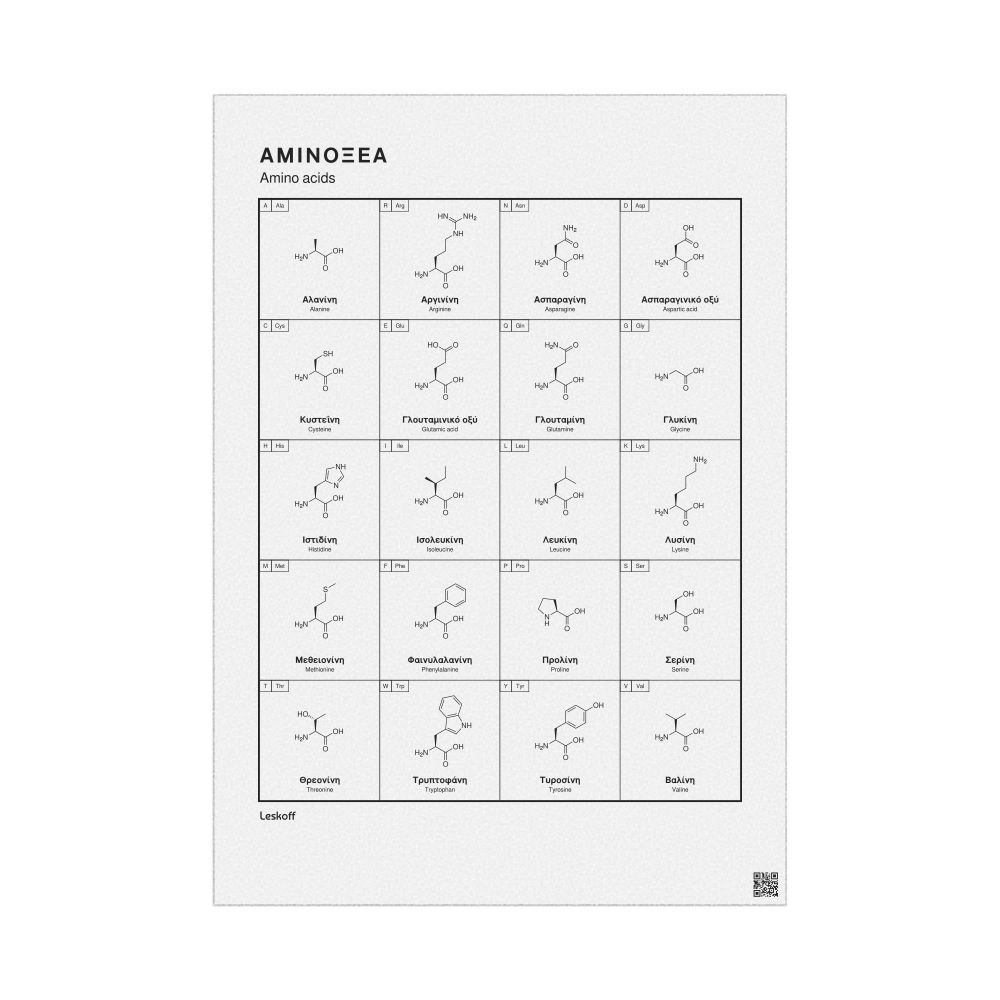 Leskoff Amino Acids Wall Chart (Amino Acids Poster), Greek/English-Labeled, image 1 of 2