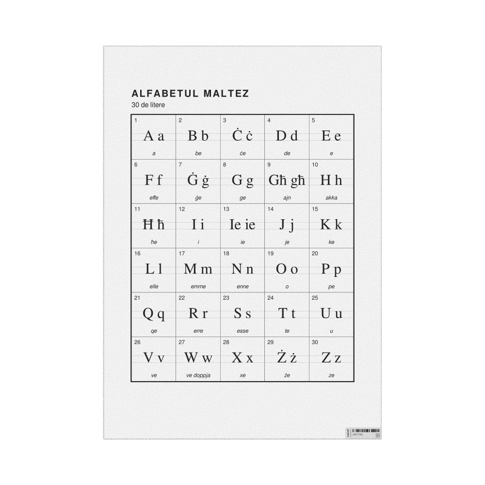 Leskoff Maltese Alphabet Chart, 23.4 x 33.1 in (59.4 x 84.1 cm, Poster / Wall Chart), Romanian-Labeled, image 1 of 2