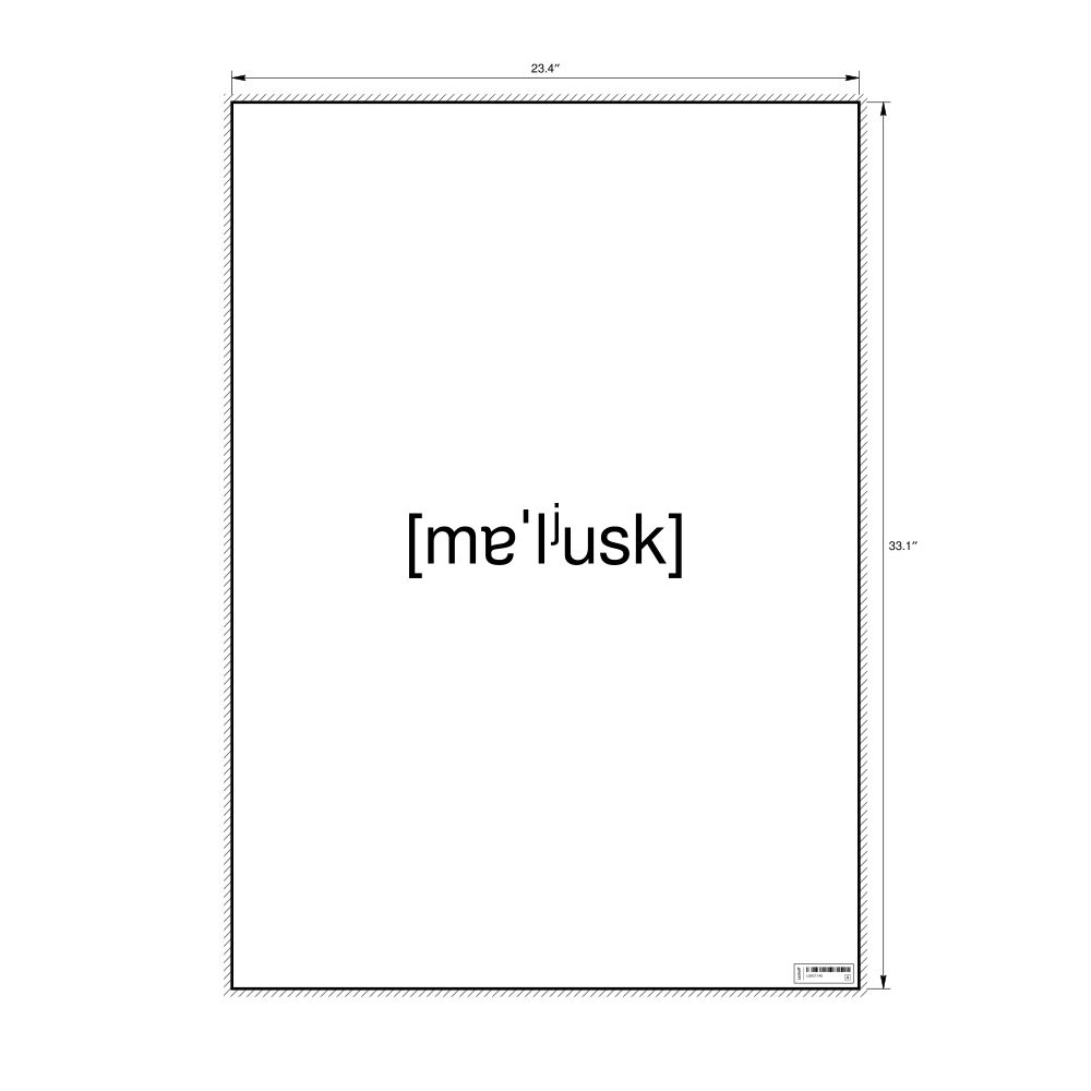 Leskoff моллюск IPA Transcription Poster, image 1 of 1