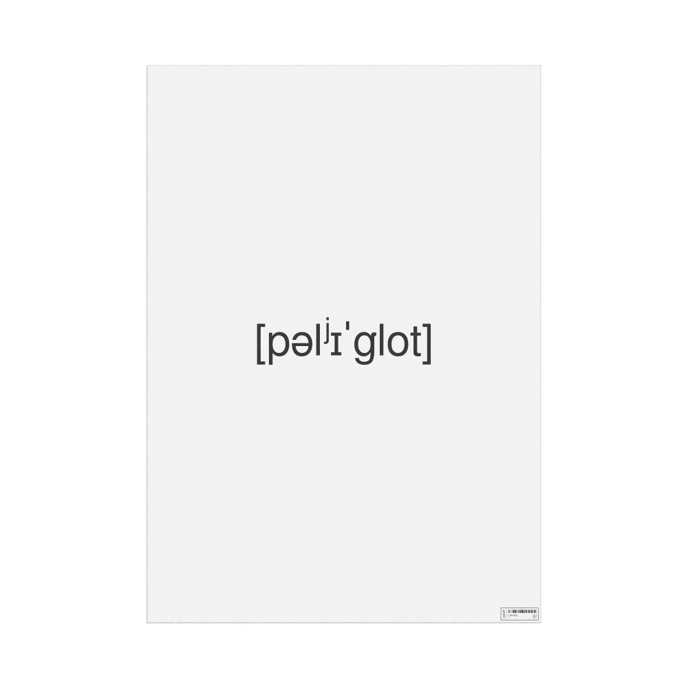 Leskoff полиглот IPA Transcription Poster, image 1 of 1