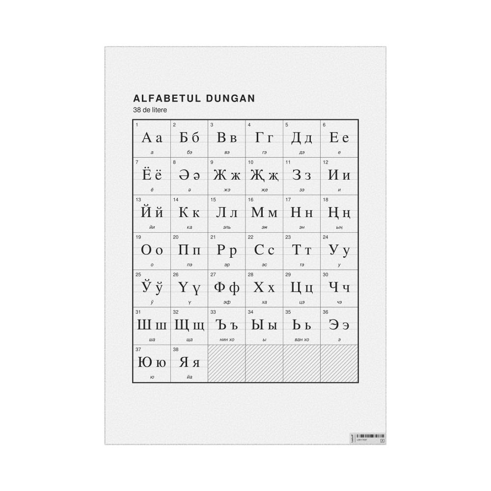 Leskoff Dungan Alphabet Chart, 23.4 x 33.1 in (59.4 x 84.1 cm, Poster / Wall Chart), Romanian-Labeled, image 1 of 2