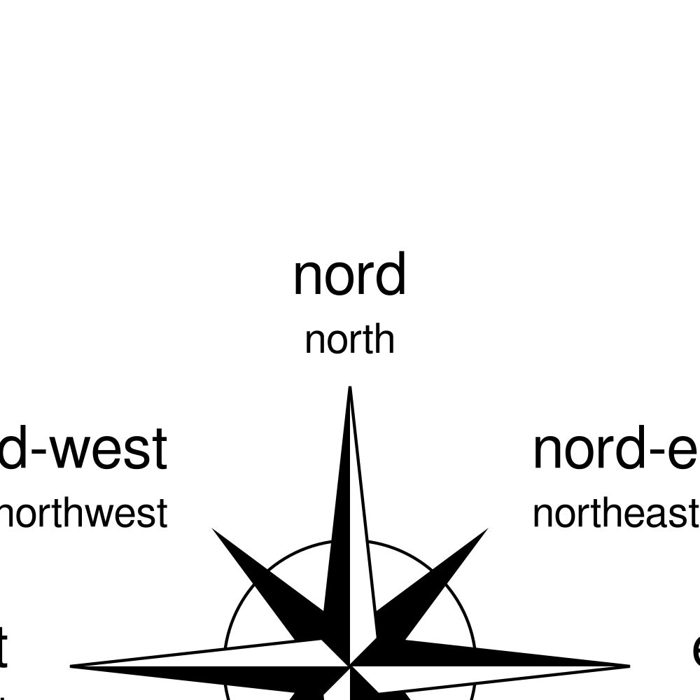 Leskoff Cardinal Directions Poster, Interlingua/English-Labeled, image 2 of 2