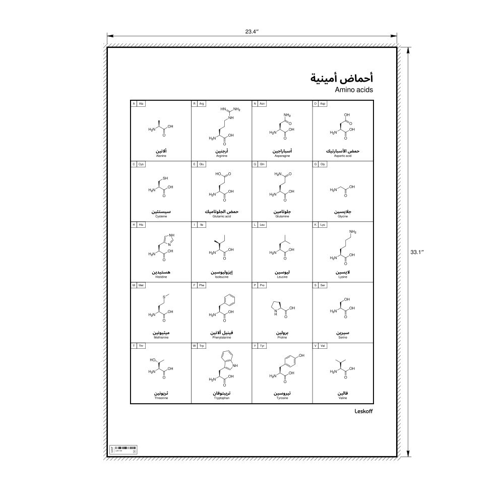 Leskoff Amino Acids Wall Chart (Amino Acids Poster), Arabic/English-Labeled, image 1 of 2