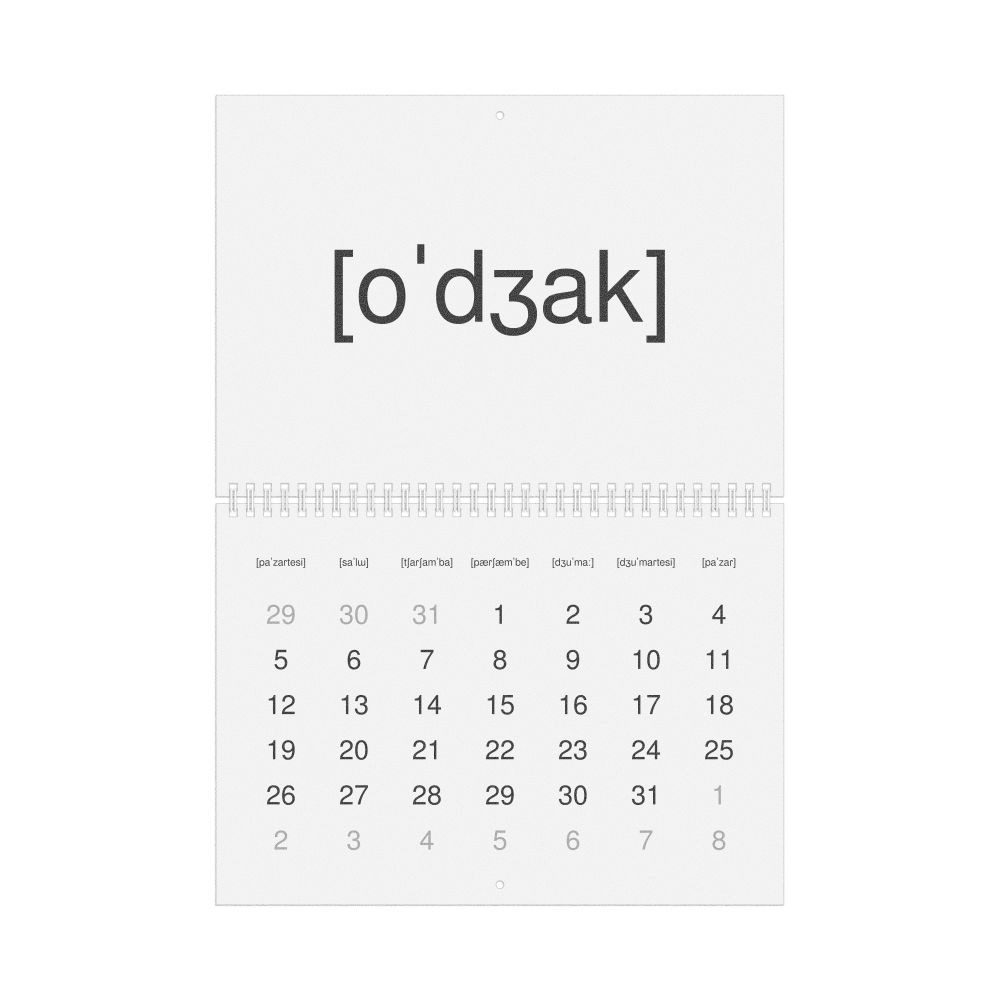 Leskoff 2026 Phonetic Wall Calendar, IPA-Labeled (Turkish), Monday-Start Layout, Wire-Bound, 11.7 x 8.3 in (29.7 x 21.0 cm), image 1 of 1