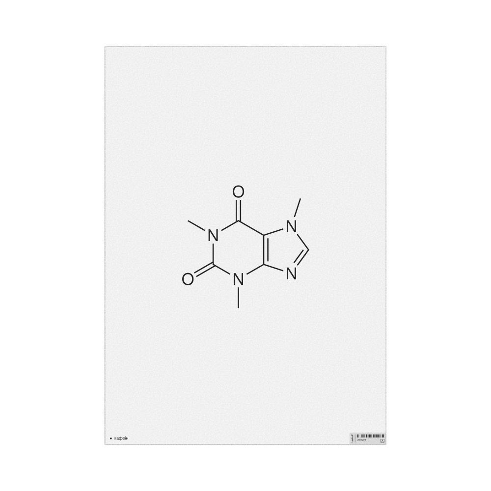 Leskoff Caffeine Molecule Poster, 2D Structure, Belarusian-Labeled, image 1 of 1