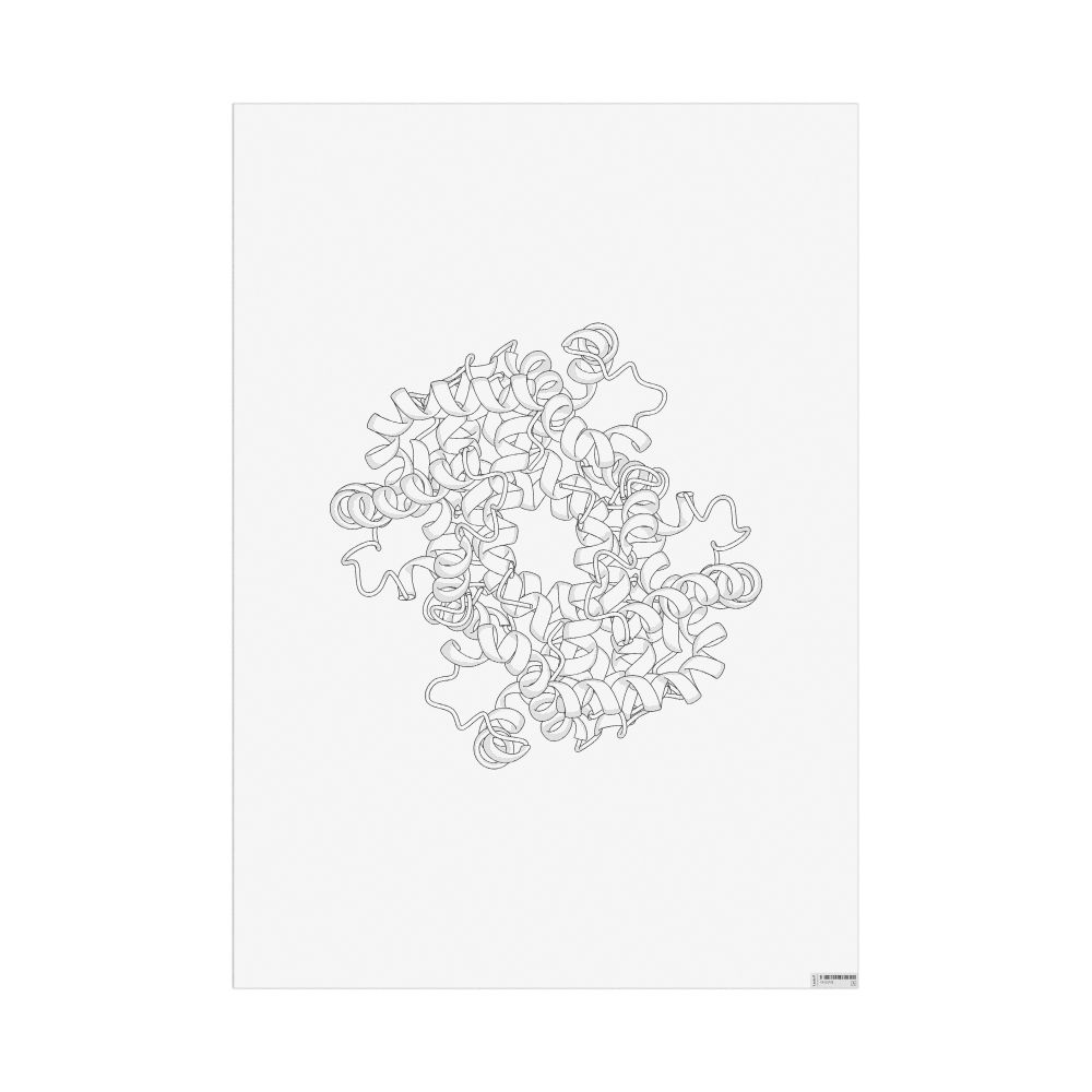 Leskoff Hemoglobin Poster, Duotone, image 1 of 1