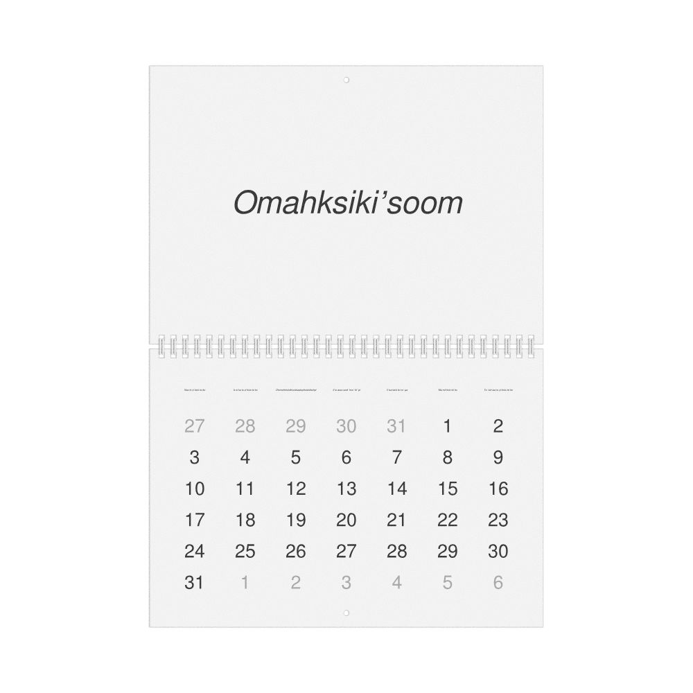 Leskoff 2027 Wall Calendar, Blackfoot-Labeled, Sunday-Start Layout, Wire-Bound, 11.7 x 8.3 in (29.7 x 21.0 cm), image 1 of 1