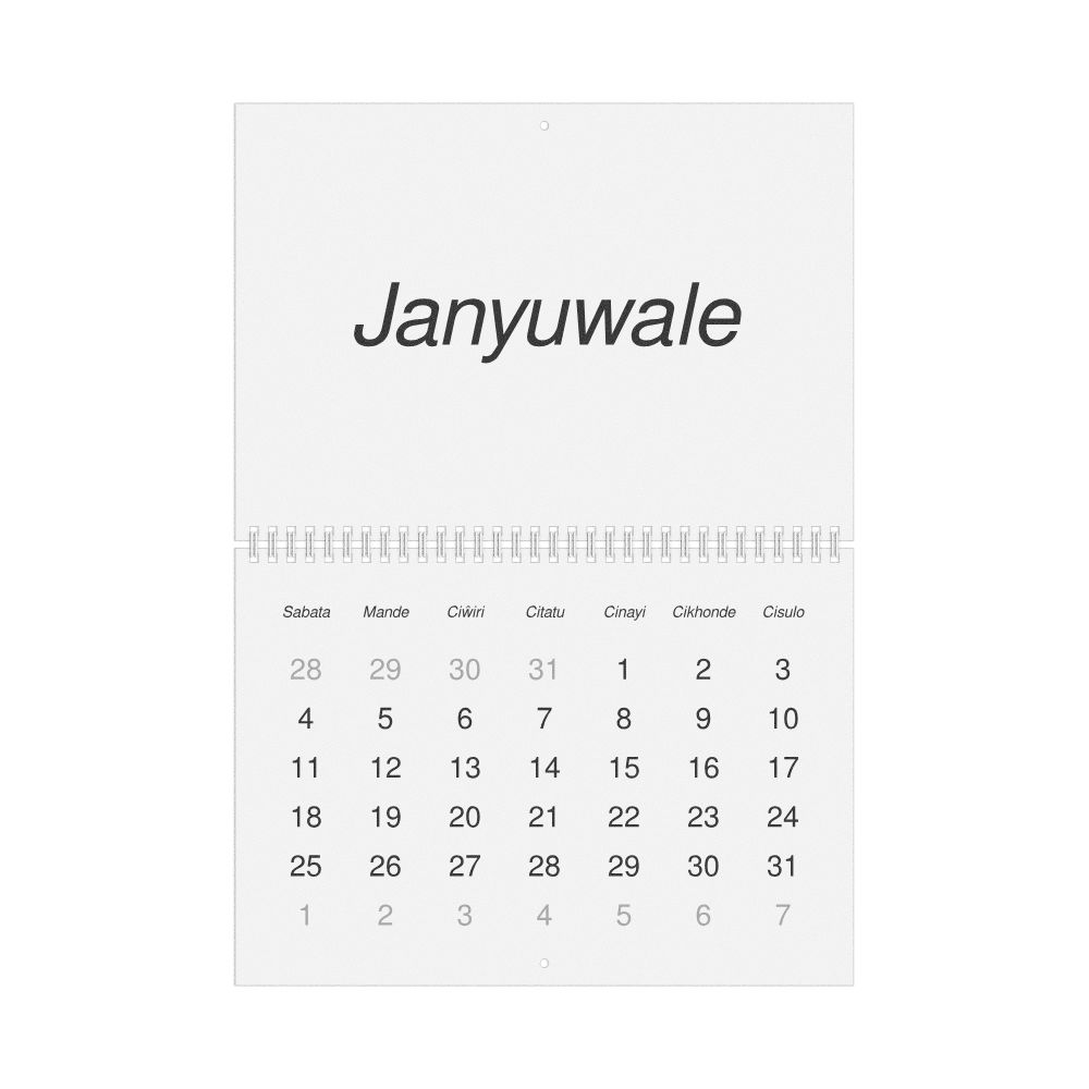 Leskoff 2026 Wall Calendar, Tumbuka-Labeled, Sunday-Start Layout, Wire-Bound, 11.7 x 8.3 in (29.7 x 21.0 cm), image 1 of 1