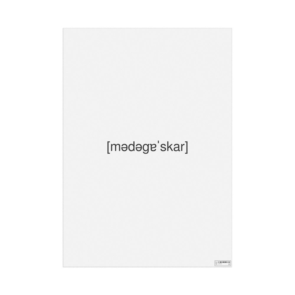 Leskoff Мадагаскар IPA Transcription Poster, image 1 of 1