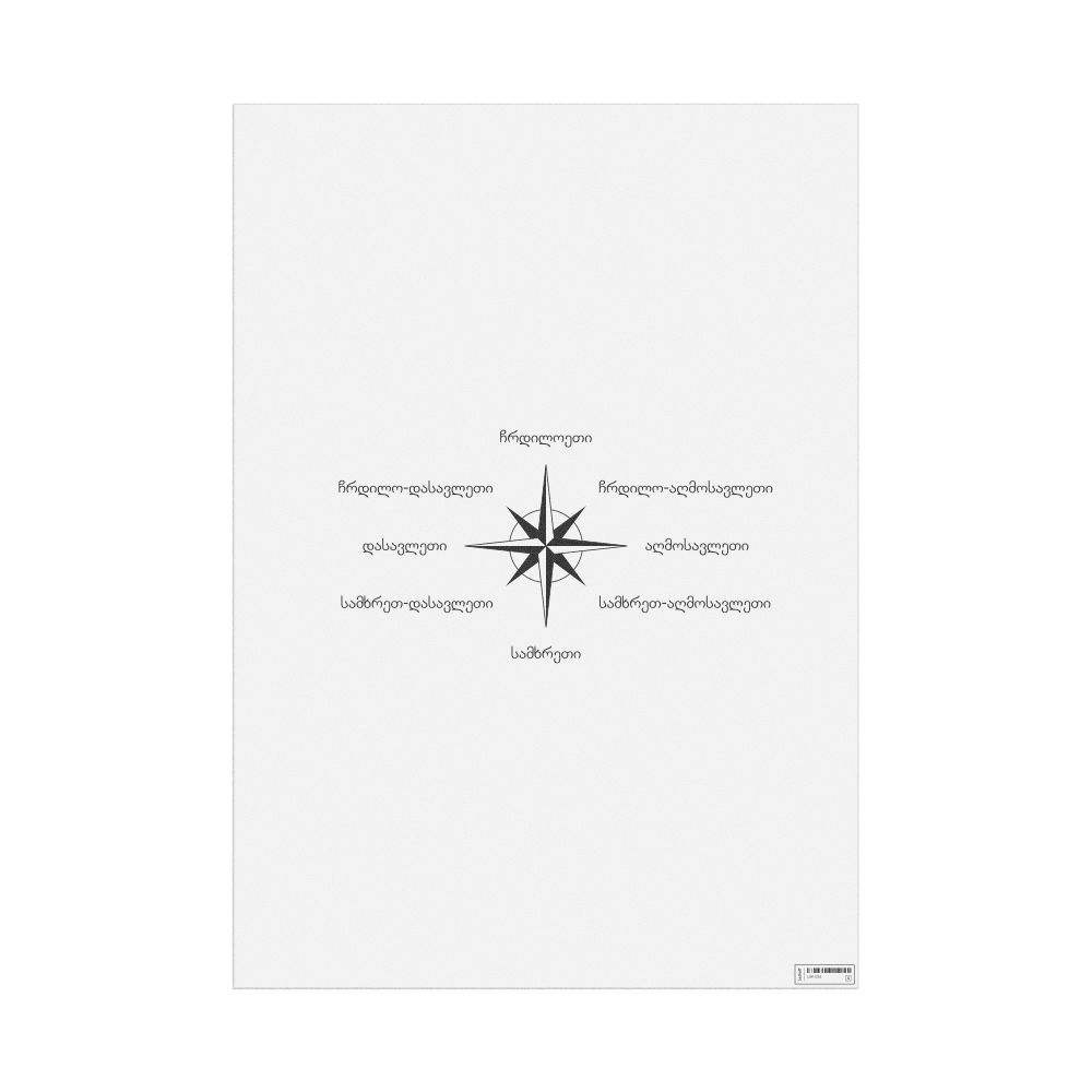 Leskoff Cardinal Directions Poster, Georgian-Labeled, image 1 of 2