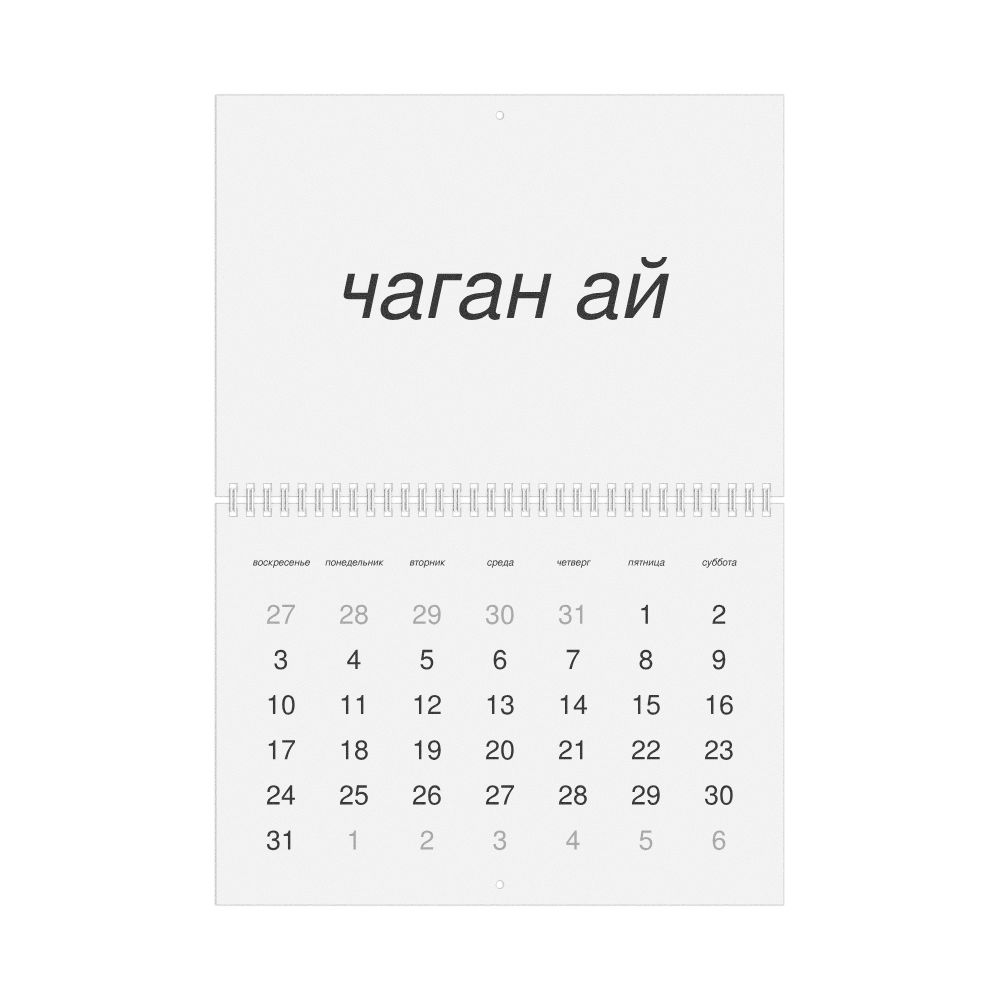 Leskoff 2027 Wall Calendar, Altai-Labeled, Sunday-Start Layout, Wire-Bound, 11.7 x 8.3 in (29.7 x 21.0 cm), image 1 of 1