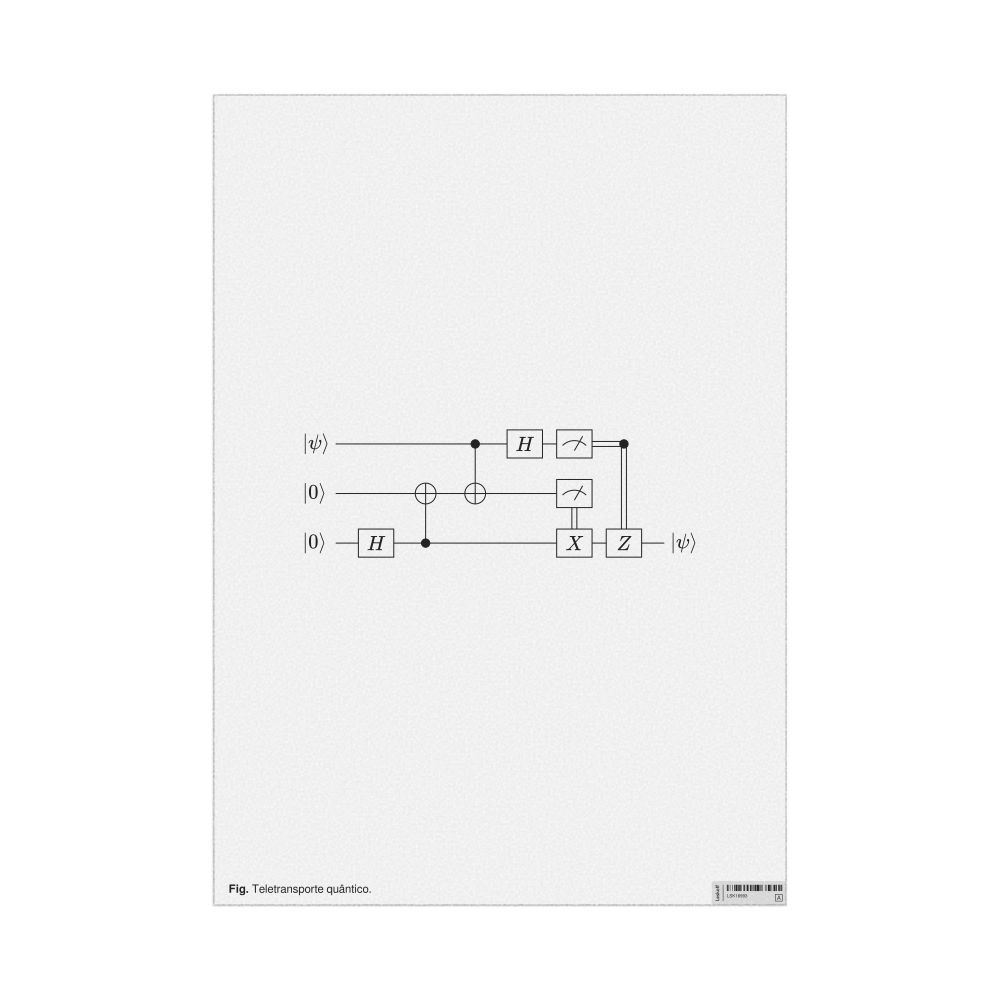 Leskoff Quantum Teleportation Poster, Portuguese-Labeled, image 1 of 1