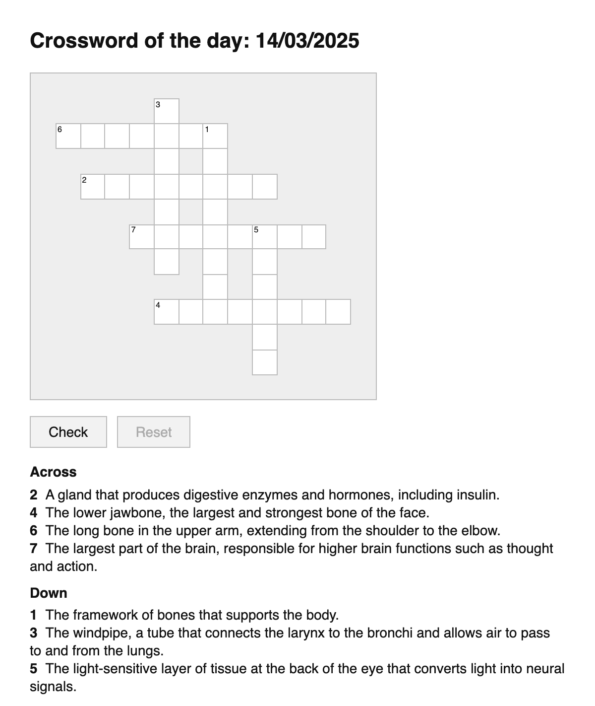 Human Anatomy Crossword