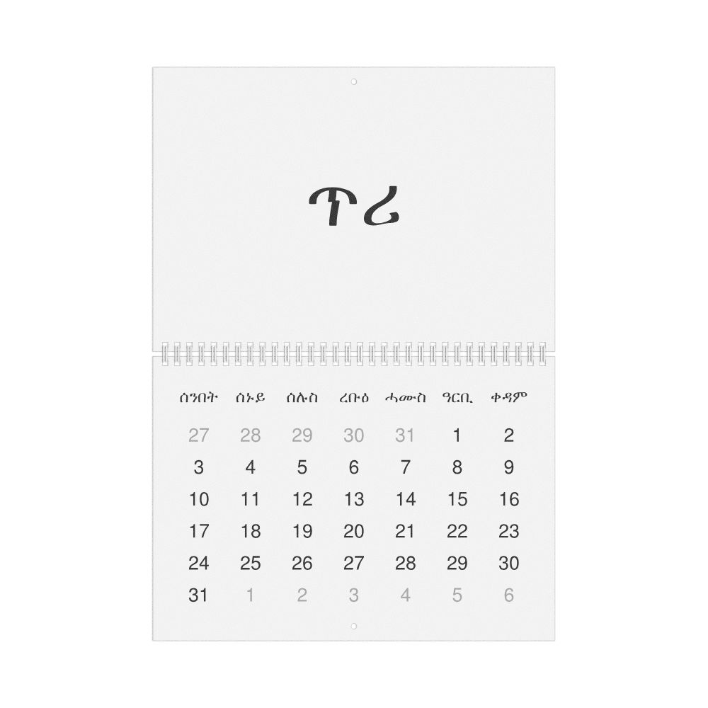 Leskoff 2027 Wall Calendar, Tigrinya-Labeled, Sunday-Start Layout, Wire-Bound, 11.7 x 8.3 in (29.7 x 21.0 cm), image 1 of 1