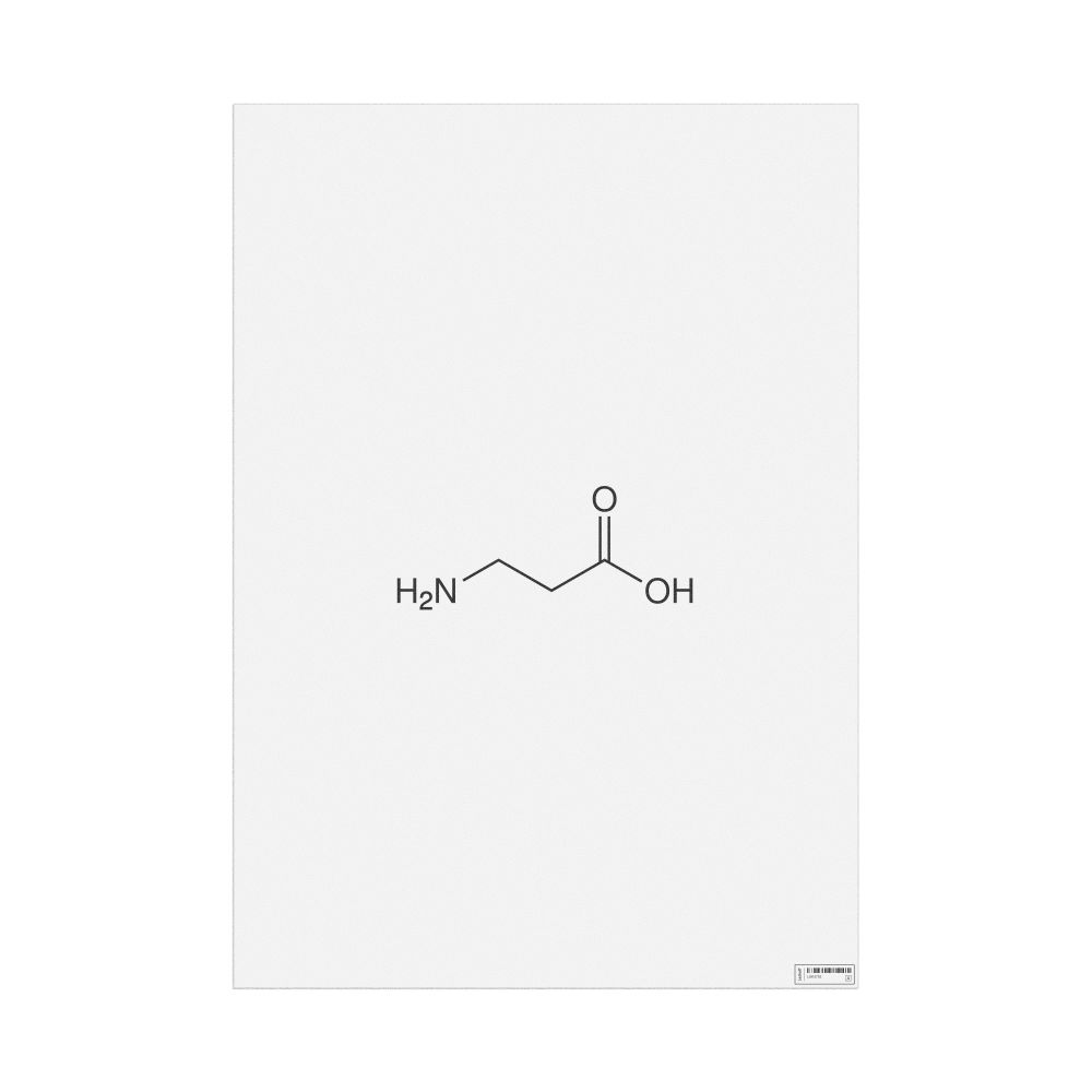 Leskoff β-Alanine Molecule Poster, 2D Structure, image 1 of 1