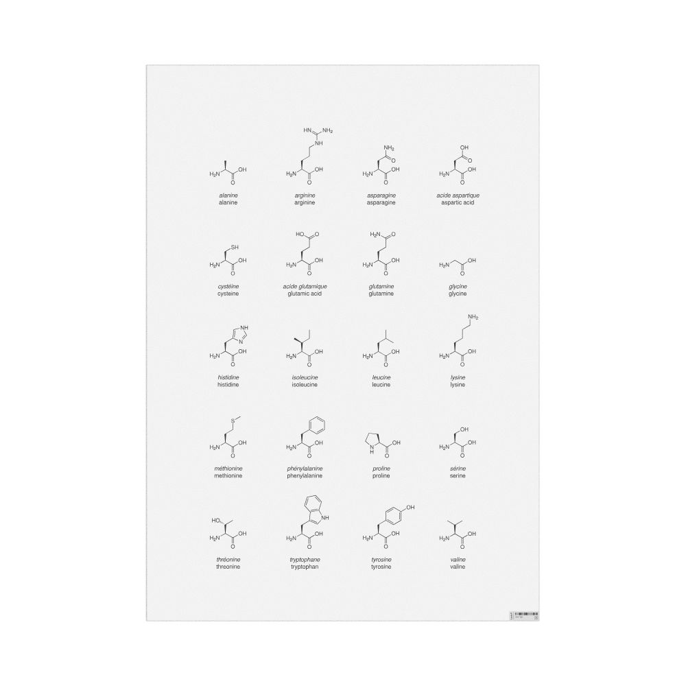 Leskoff Amino Acids Wall Chart (Amino Acids Poster), French/English-Labeled, image 1 of 1