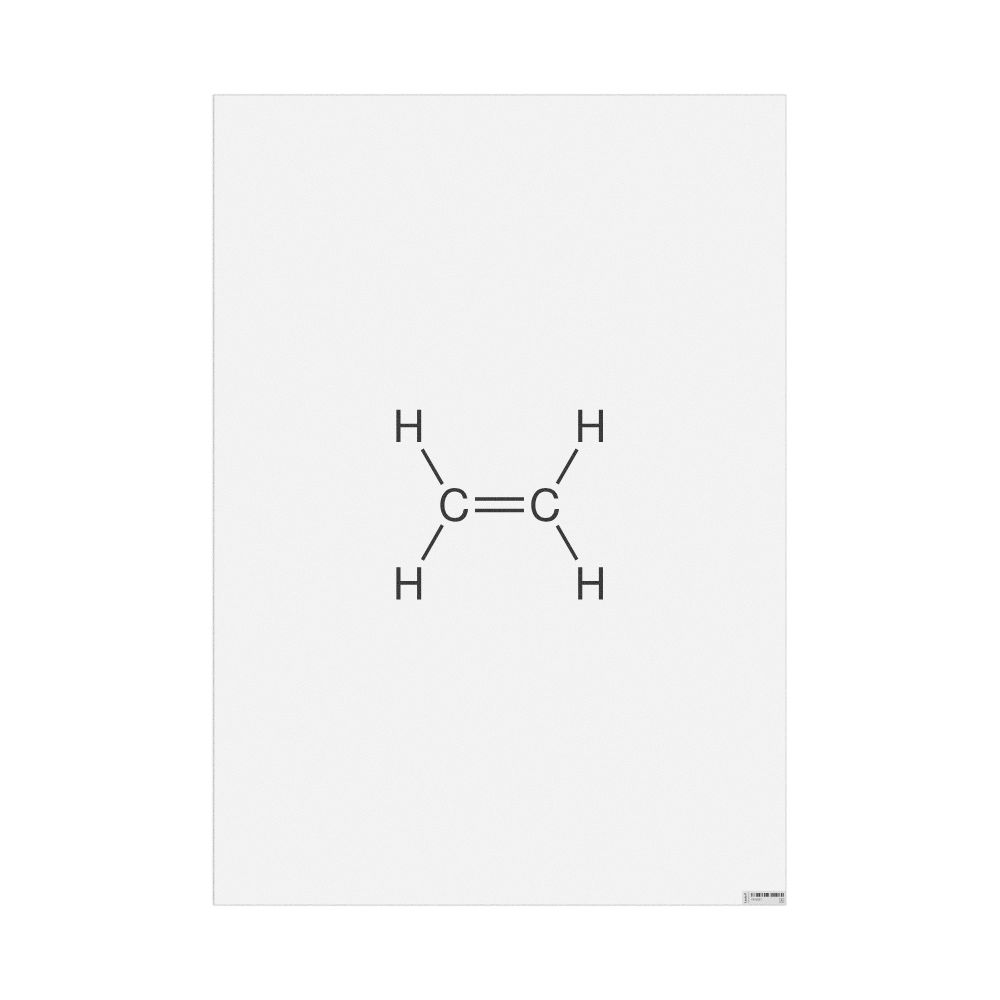 Leskoff Ethylene Molecule Poster, 2D Structure, image 1 of 1