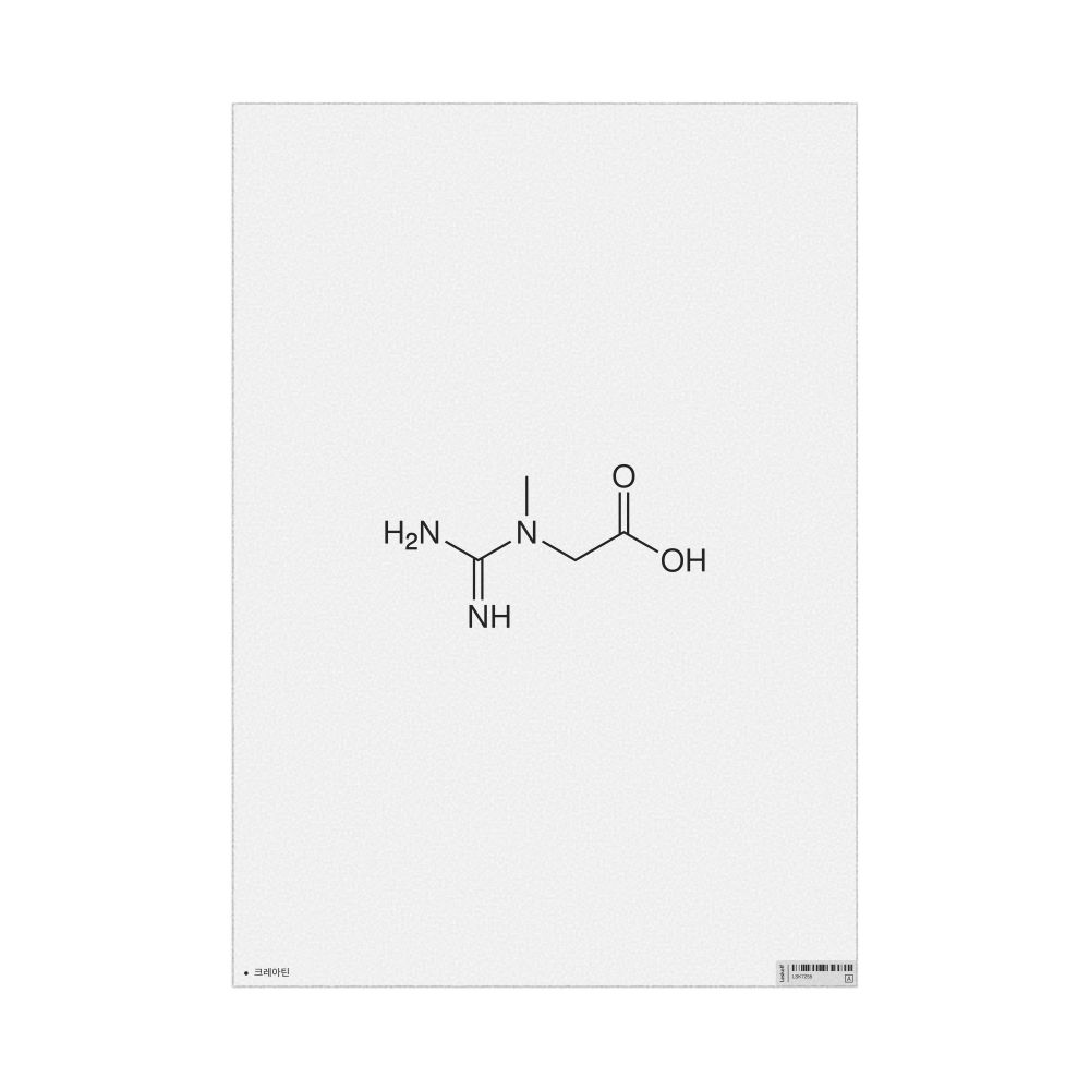 Leskoff Creatine Molecule Poster, 2D Structure, Korean-Labeled, image 1 of 1