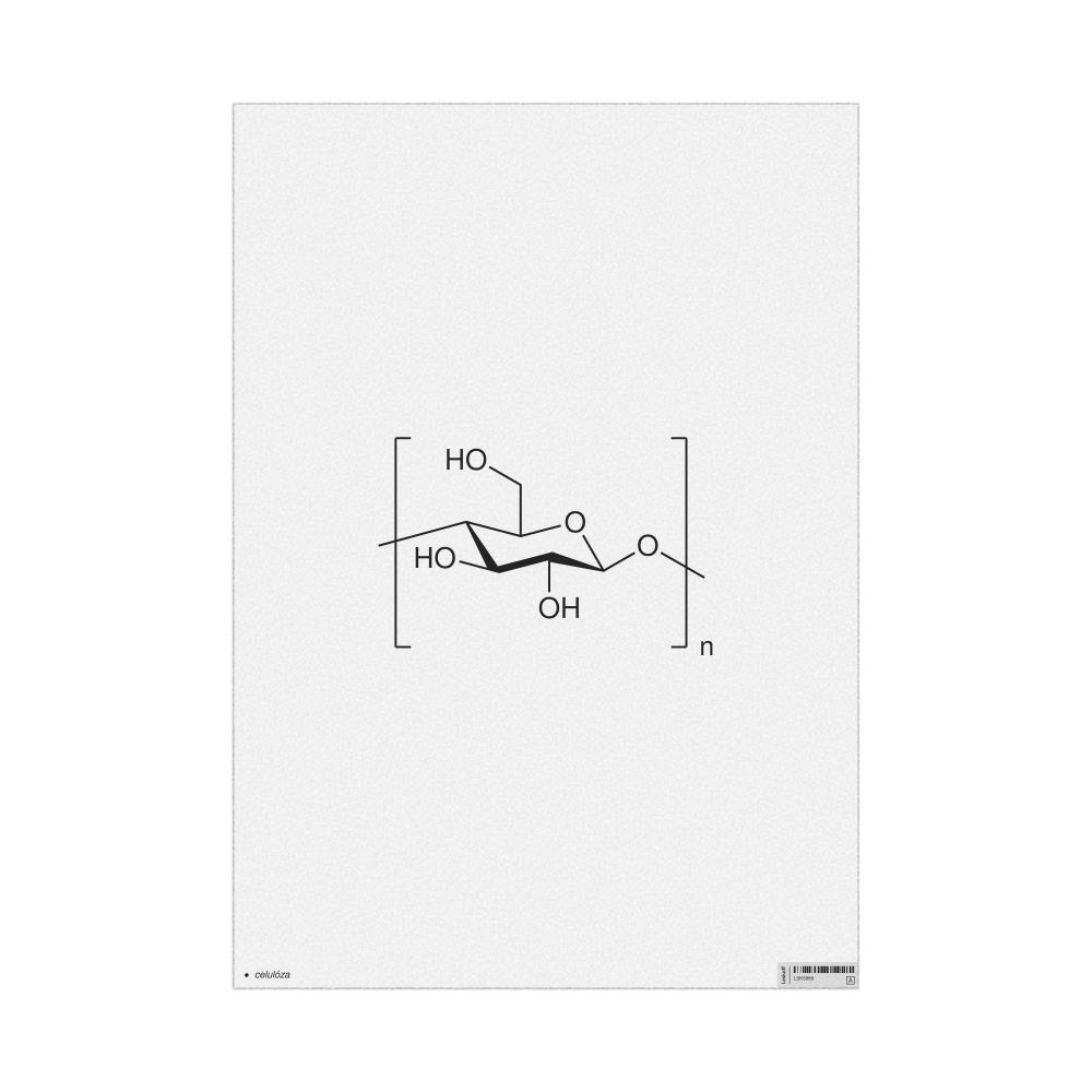 Leskoff Cellulose Molecule Poster, 2D Structure, Czech-Labeled, image 1 of 1