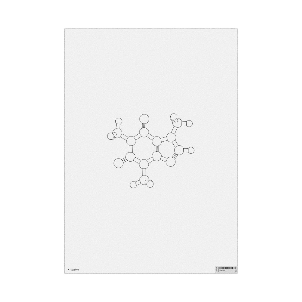 Leskoff Caffeine Molecule Poster, Ball-and-Stick Model, Stylized, French-Labeled, image 1 of 1