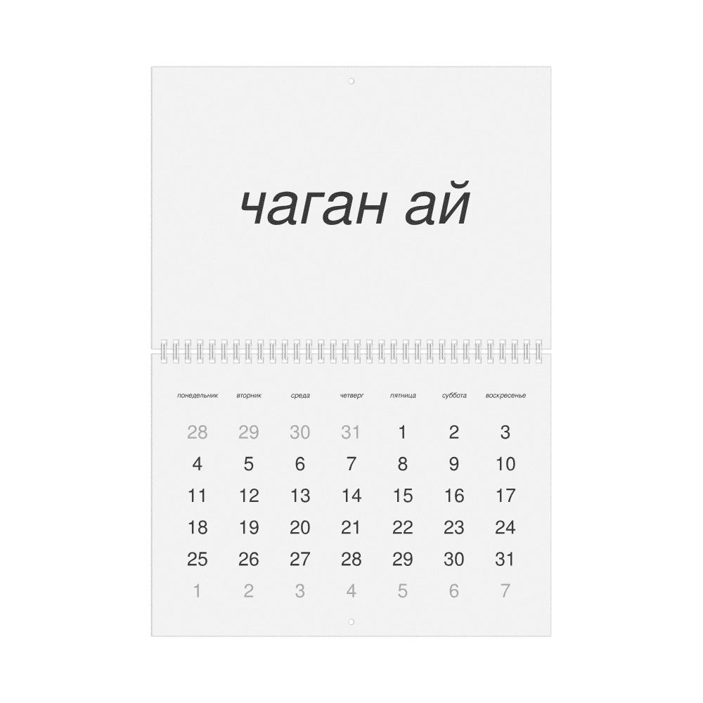 Leskoff 2027 Wall Calendar, Altai-Labeled, Monday-Start Layout, Wire-Bound, 11.7 x 8.3 in (29.7 x 21.0 cm), image 1 of 1