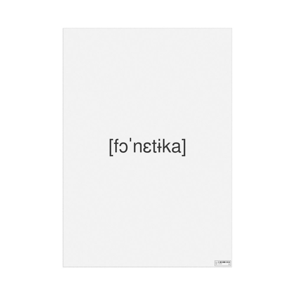 Leskoff fonetyka IPA Transcription Poster, image 1 of 1