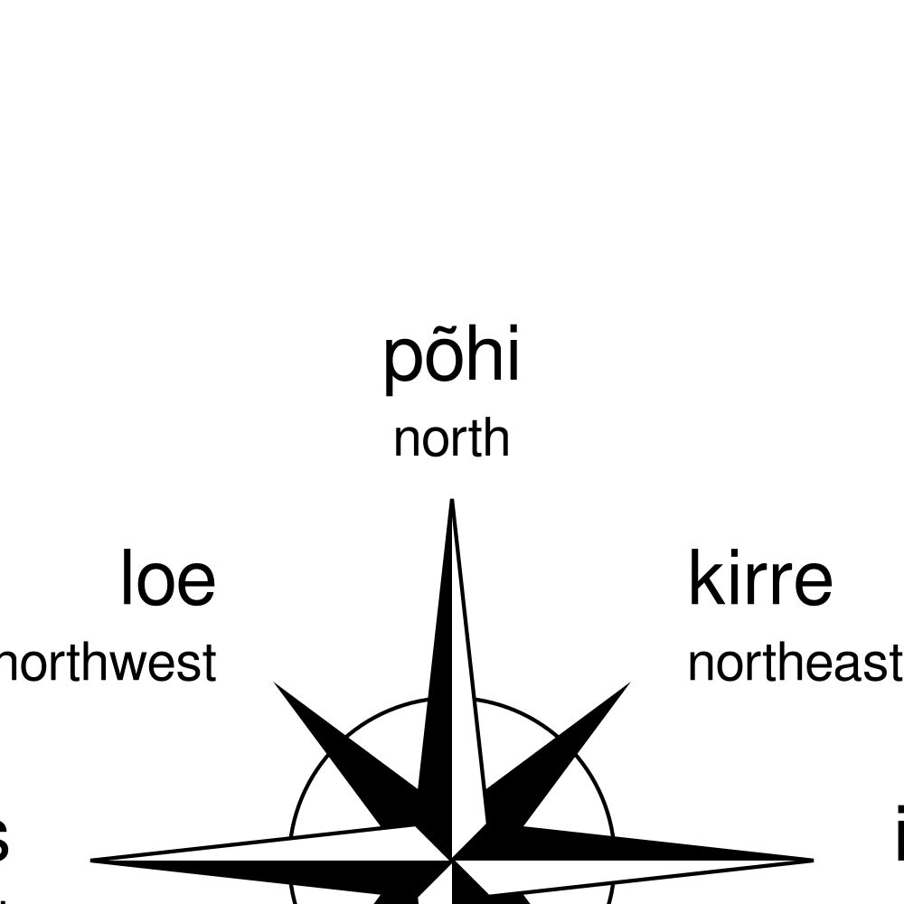 Leskoff Cardinal Directions Poster, Estonian/English-Labeled, image 2 of 2