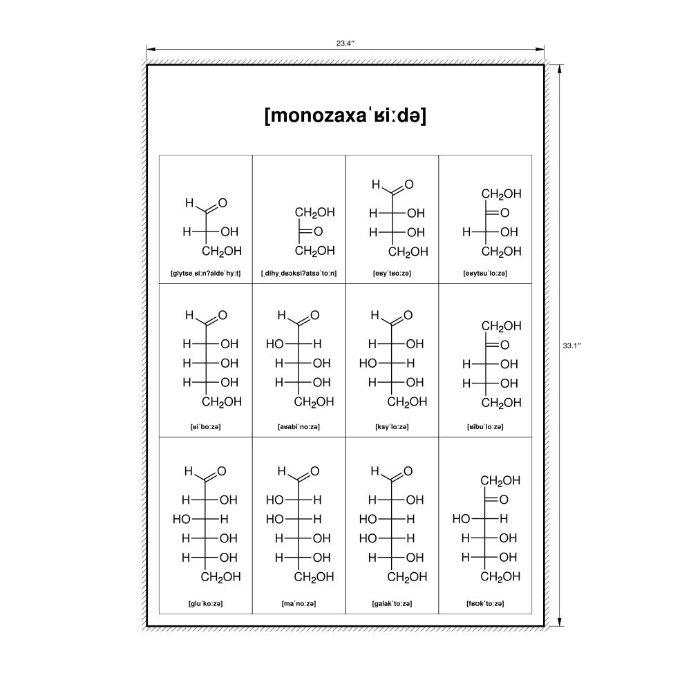 Leskoff Monosaccharides Phonetic Wall Chart (Monosaccharides Phonetic Poster), IPA-Labeled (German), image 1 of 1