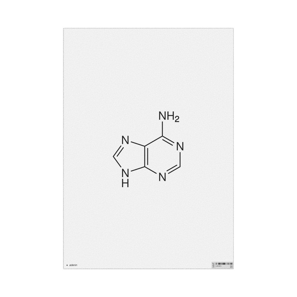 Leskoff Adenine Molecule Poster, 2D Structure, Azerbaijani-Labeled, image 1 of 1