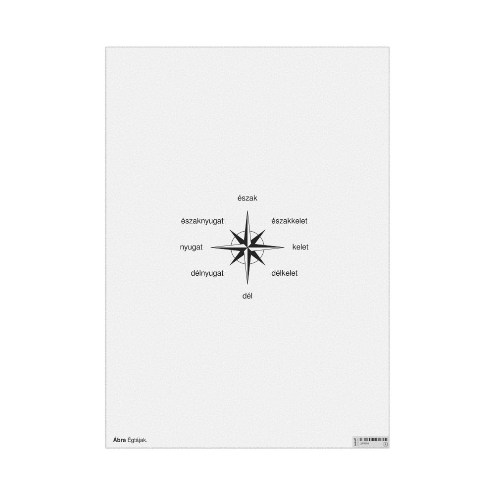 Leskoff Cardinal Directions Poster, Hungarian-Labeled, image 1 of 2